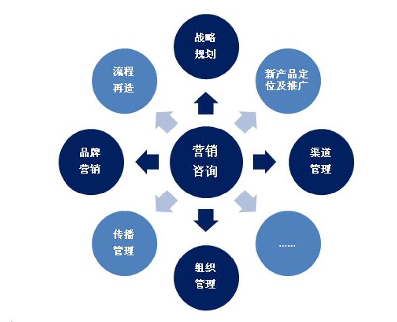 谷仓培训：一场智慧与技能的洗礼